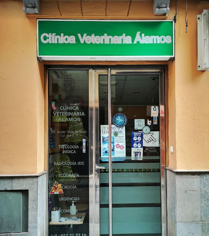 Clínica Veterinaria en el centro de Málaga Clínica Álamos